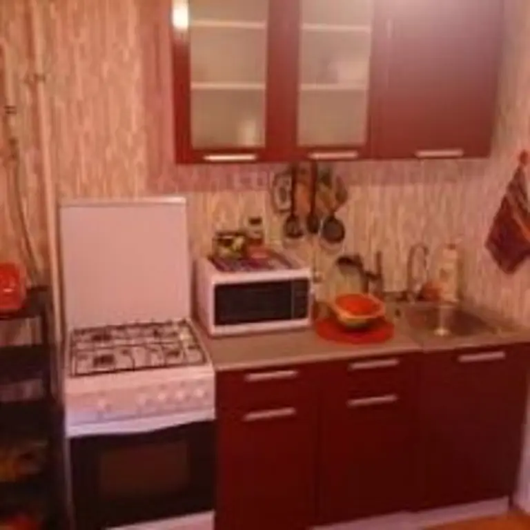Великие Луки: Apartamentyi Na Peskareva