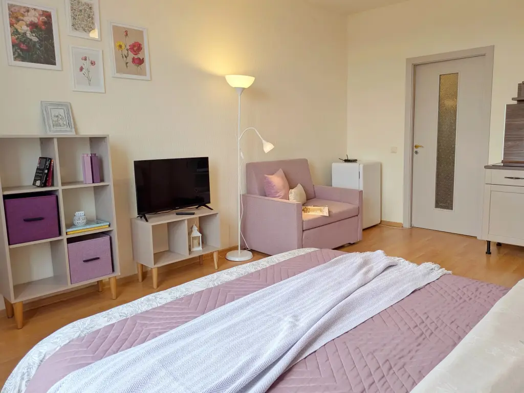 Псков: Апартаменты Видовая Студия