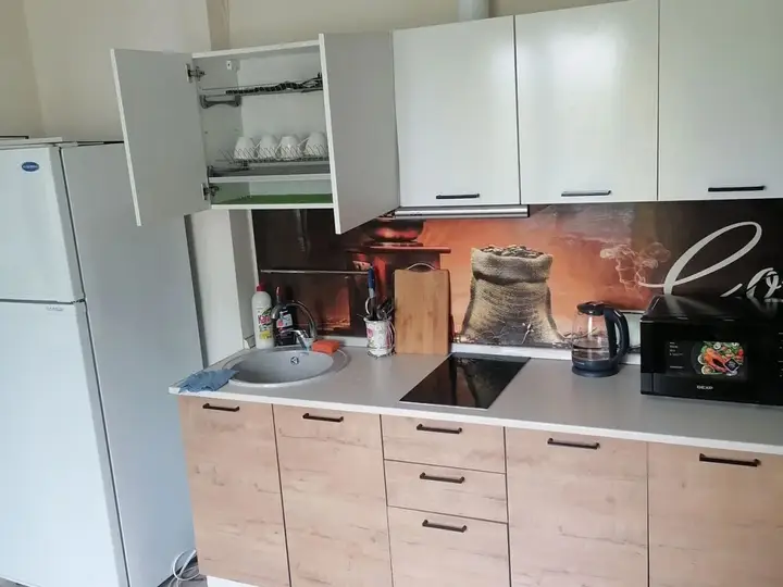 Петропавловск-Камчатский: Квартира Евродвушка на Фролова 4
