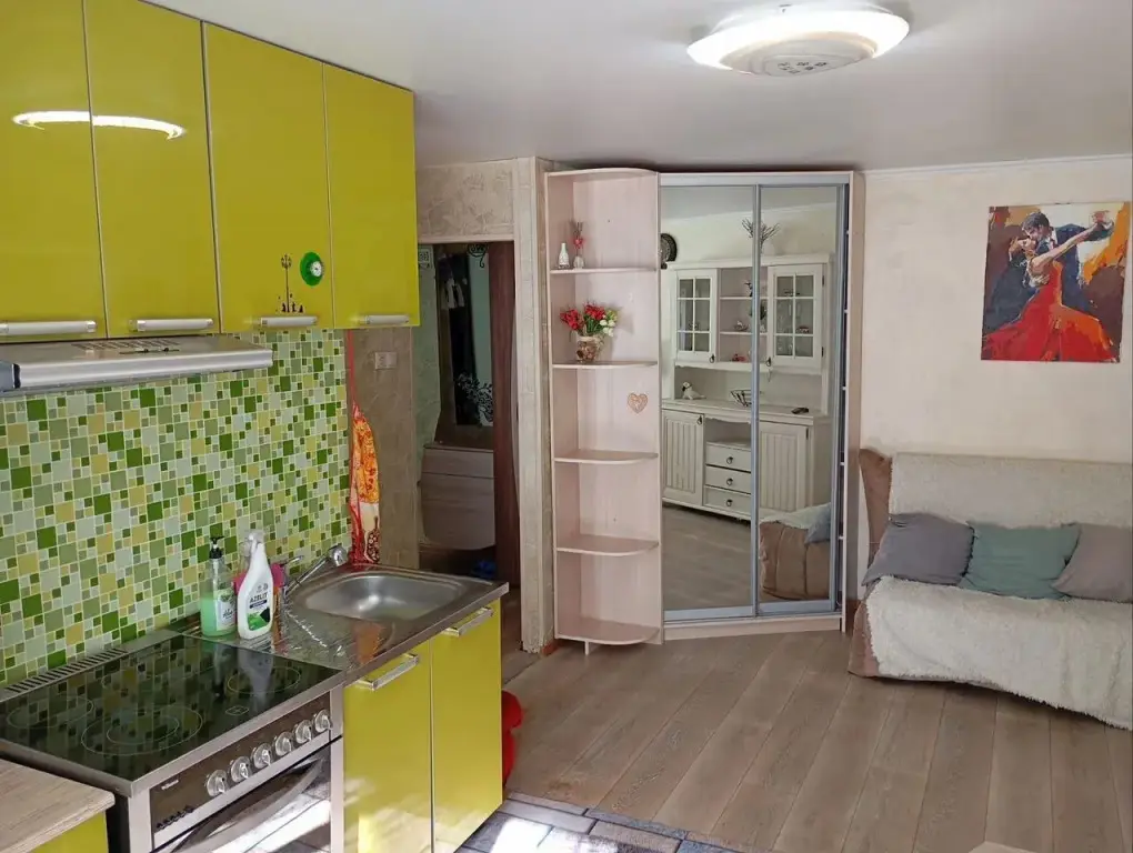 Петропавловск-Камчатский: Квартира Евродвушка на Владивостокской 43