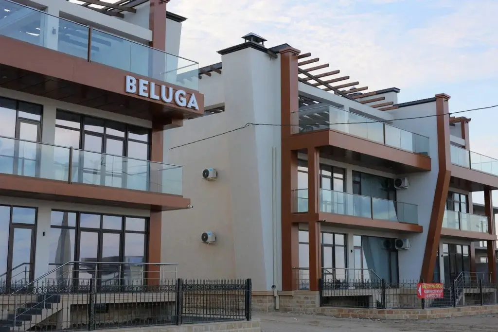 Зелономорск: База отдыха Белуга