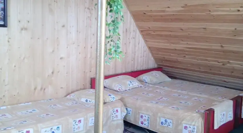 Сочи: Guesthouse Alfa