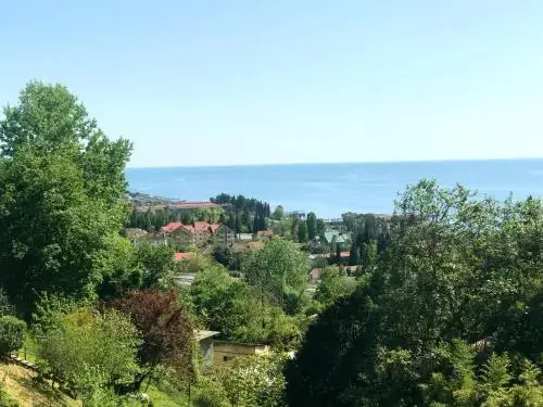 Сочи: Svetlana Guesthouse