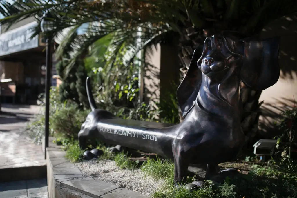 carousel image 5
