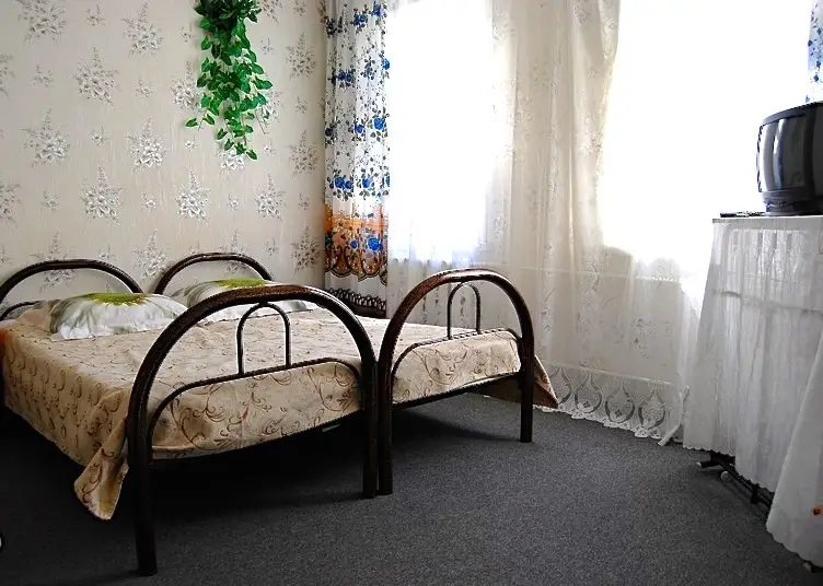 Сочи: Золотой Лев