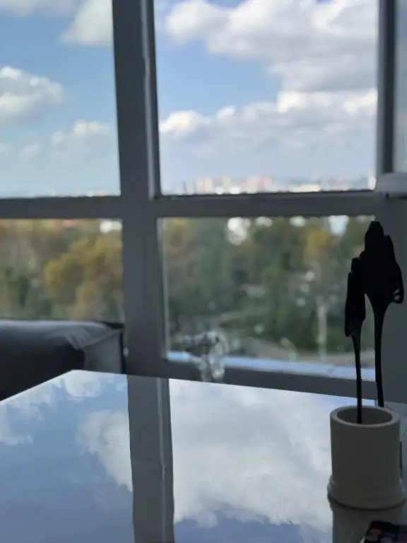Иркутск: Квартира с панорамным видом на Ангару
