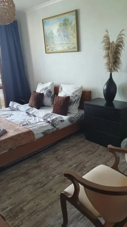 Петропавловск-Камчатский: Квартира с Проходной Лоджией