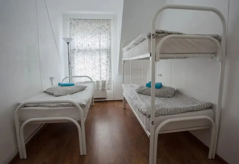 Gorki: Hostel Petya And The Wolf