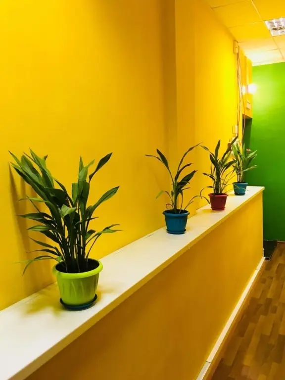 Москва: Trevel Inn Na Novoslobodskoj Hostel