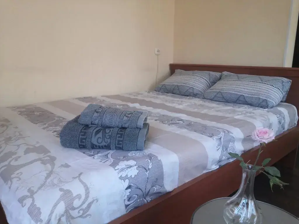 Новосибирск: U Kliniki Meshalkina Apartments