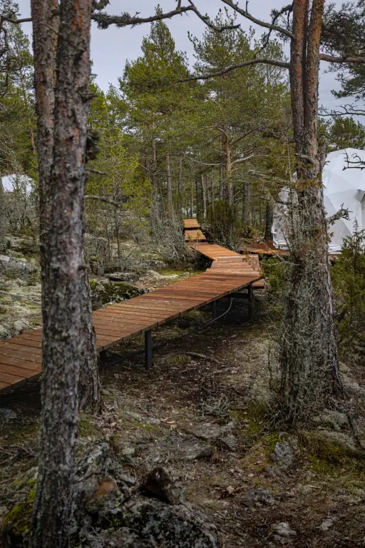 Сортавала: Глэмпинг Lago Ladoga