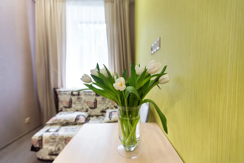 Санкт-Петербург: Anastasiya Apartments