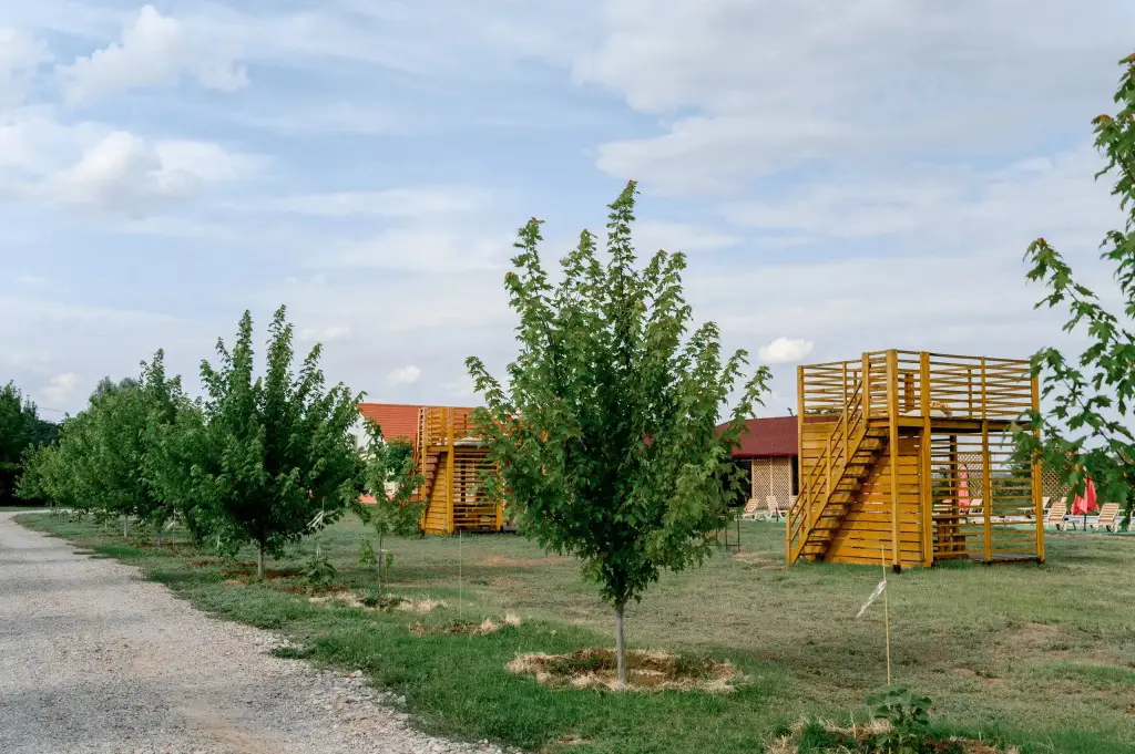 Образцово-Травино: База отдыха Наша фазенда