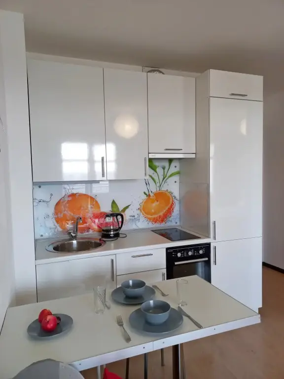 Санкт-Петербург: Nedaleko Ot Ladozhskogo Vokzala Apartments