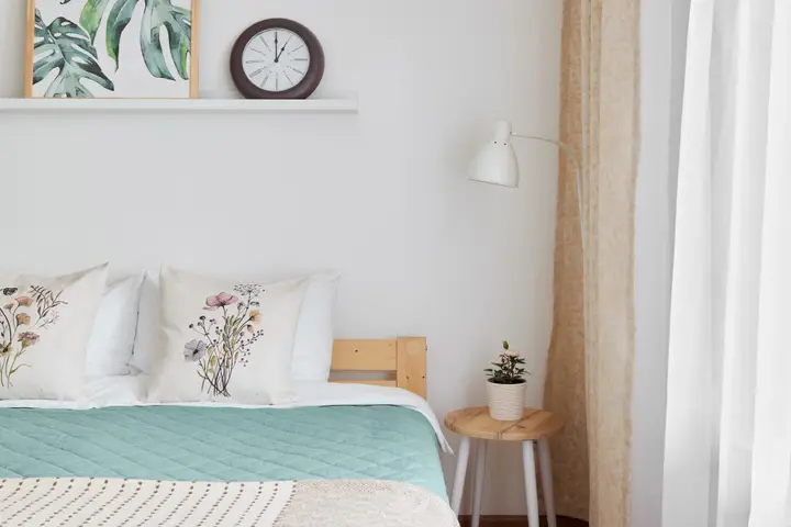 Санкт-Петербург: Апартаменты RoomyRoom Сканди