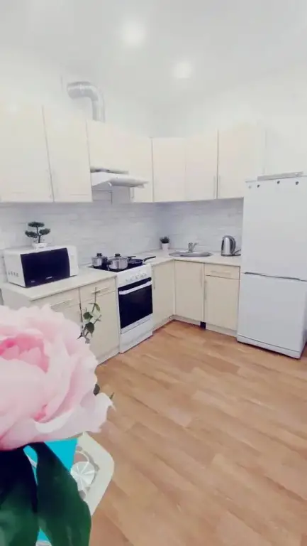 Нижний Новгород: Lebedinoye gnezdyshko Residential premises