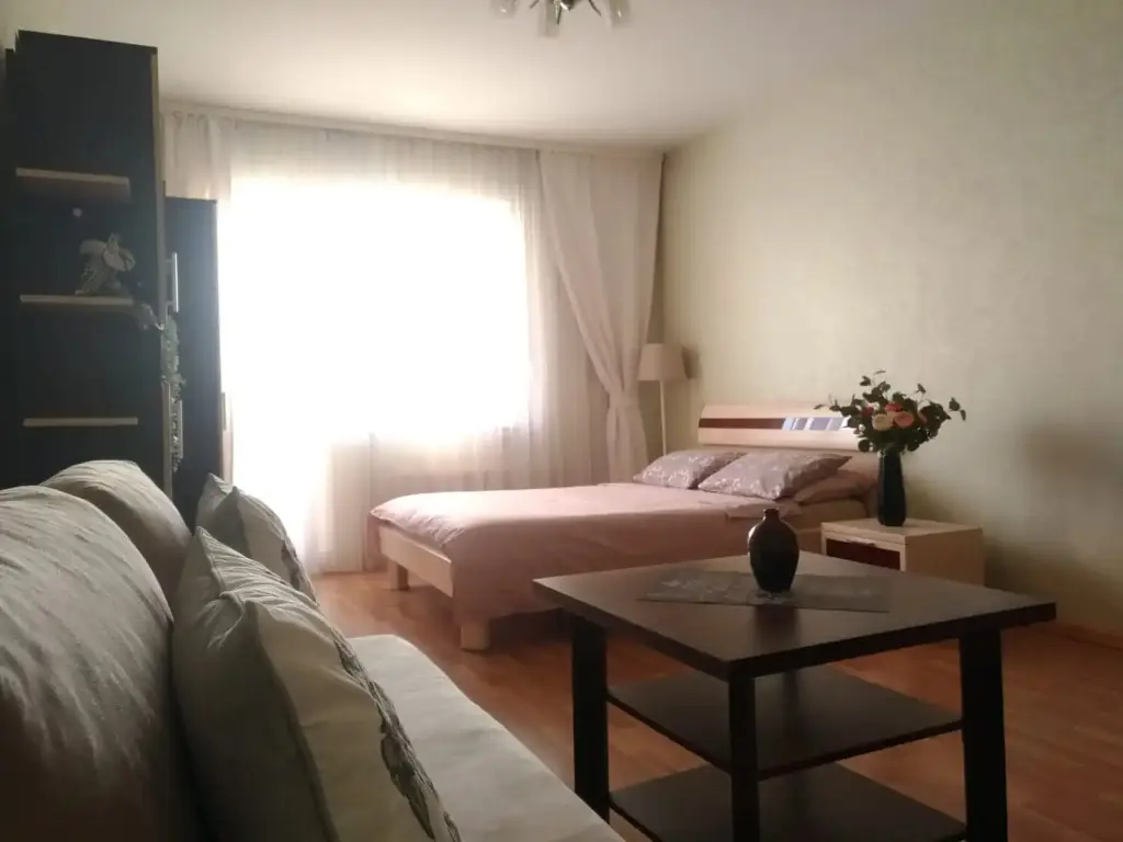 Екатеринбург: Квартира Daily Rent Apart- Двухкомнатная квартира с двумя балконами
