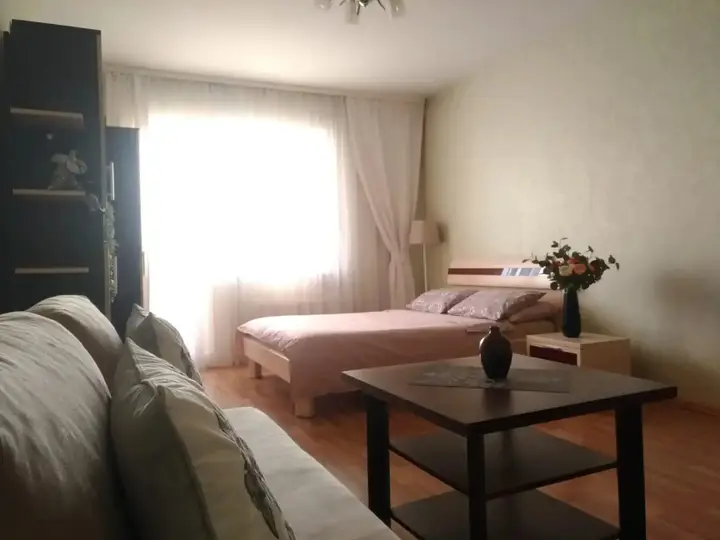 Екатеринбург: Квартира Daily Rent Apart- Двухкомнатная квартира с двумя балконами
