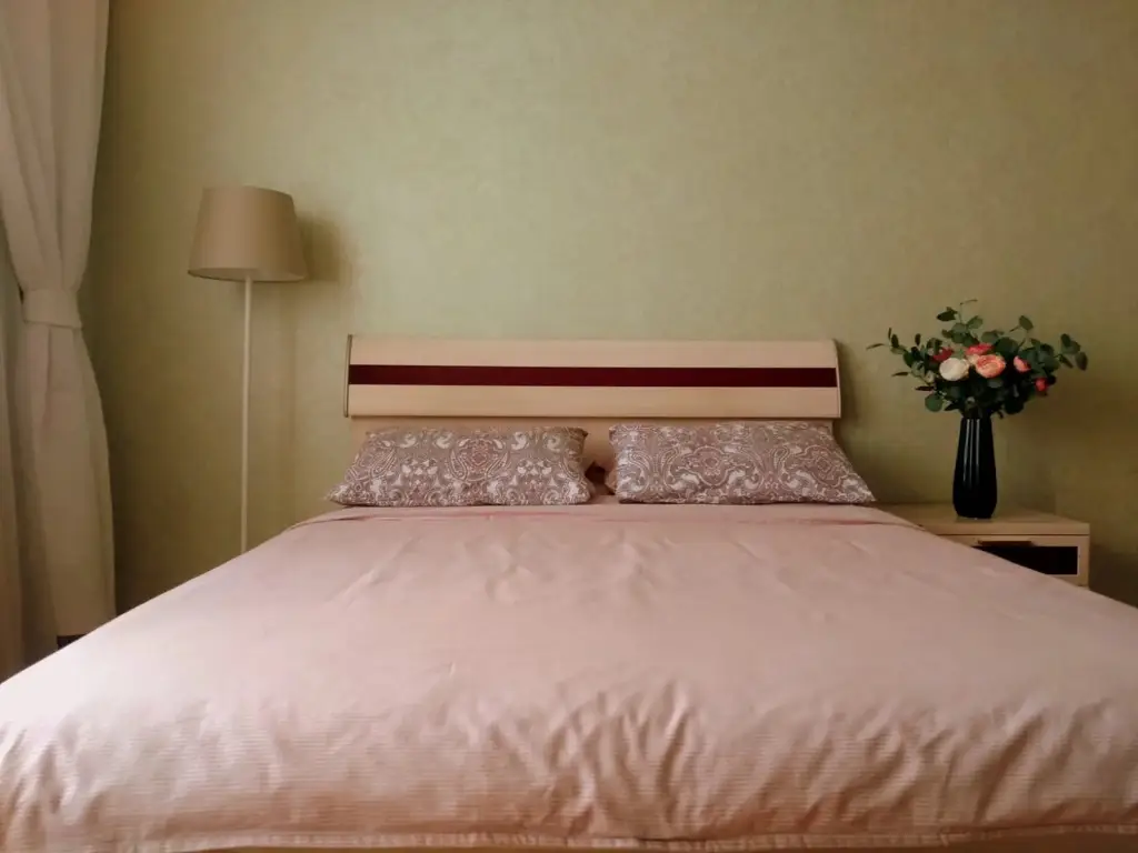 Екатеринбург: Квартира Daily Rent Apart- Двухкомнатная квартира с двумя балконами
