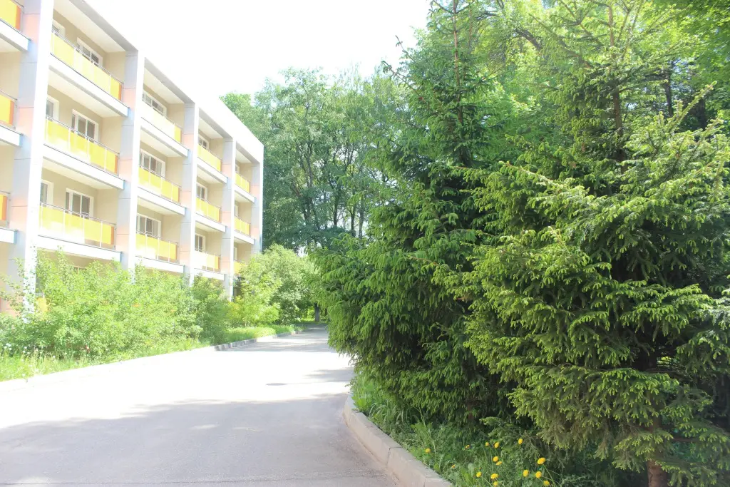 Боровичи: Borovichskij(AO BKO)