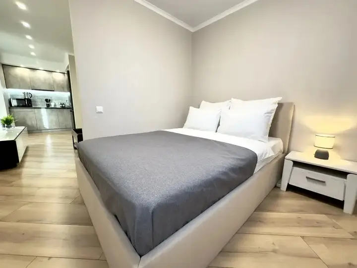 Воронеж: Апартаменты Девять Ярдов Premier Suite