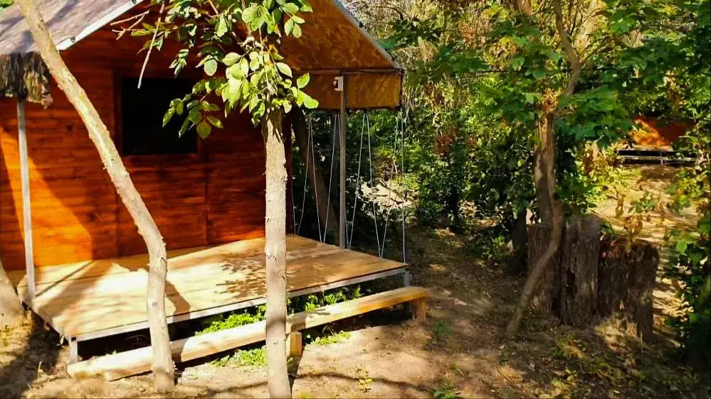 Астрахань: База отдыха Звезда на Ахтубе