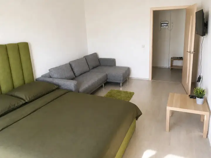 Екатеринбург: Апартаменты DreamHouse на Спутников