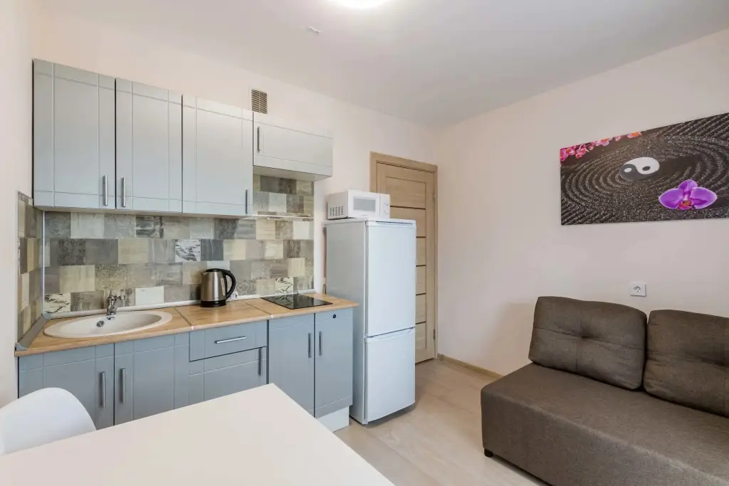 Екатеринбург: Апартаменты DreamHouse на Спутников