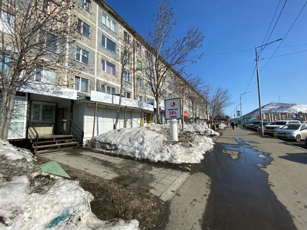 Петропавловск-Камчатский: Квартира на улице Тушканова 2