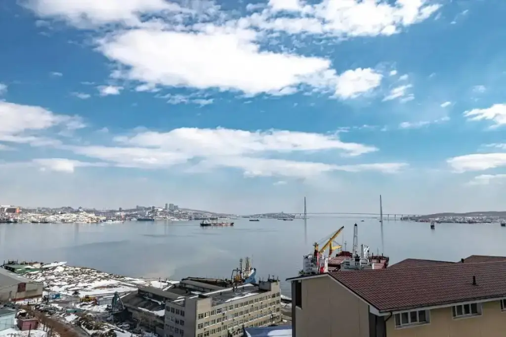 Владивосток: Апартаменты на улице Крыгина 105/1