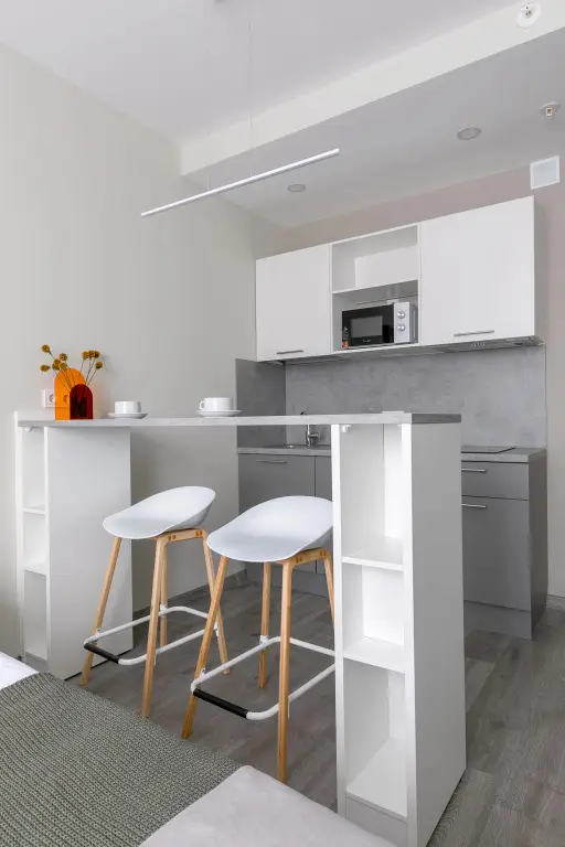 Санкт-Петербург: Квартира студия от Rent Profi