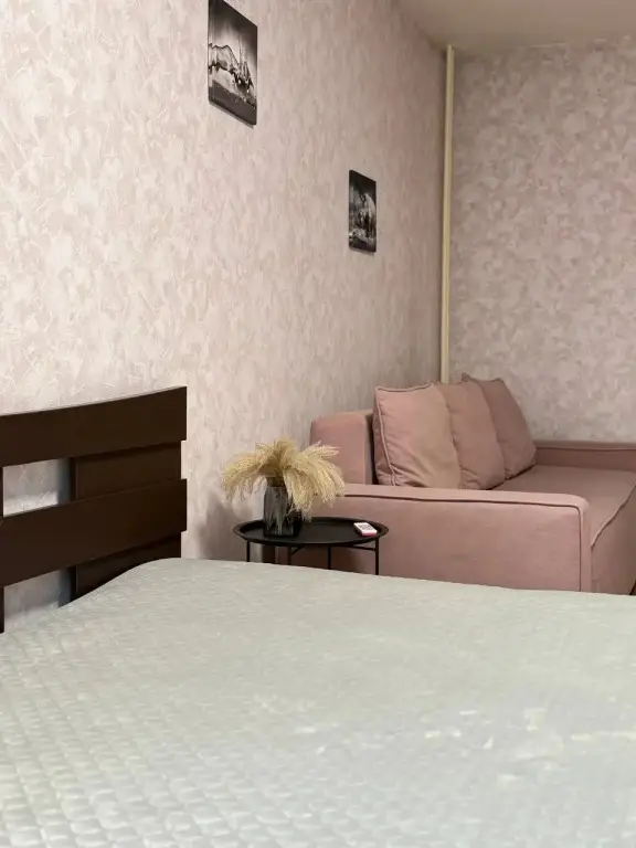 Красноярск: Квартира 1-Комн. на Партизана Железняка 61