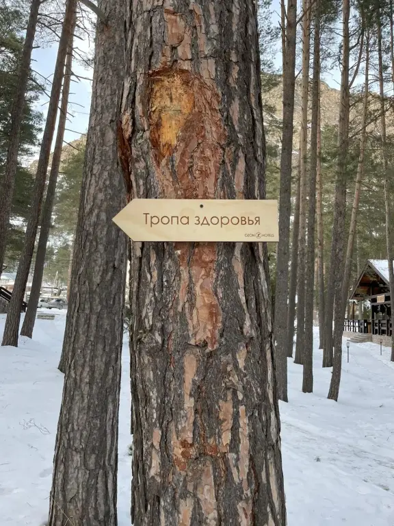 Тегенекли: Отель Ozon Village
