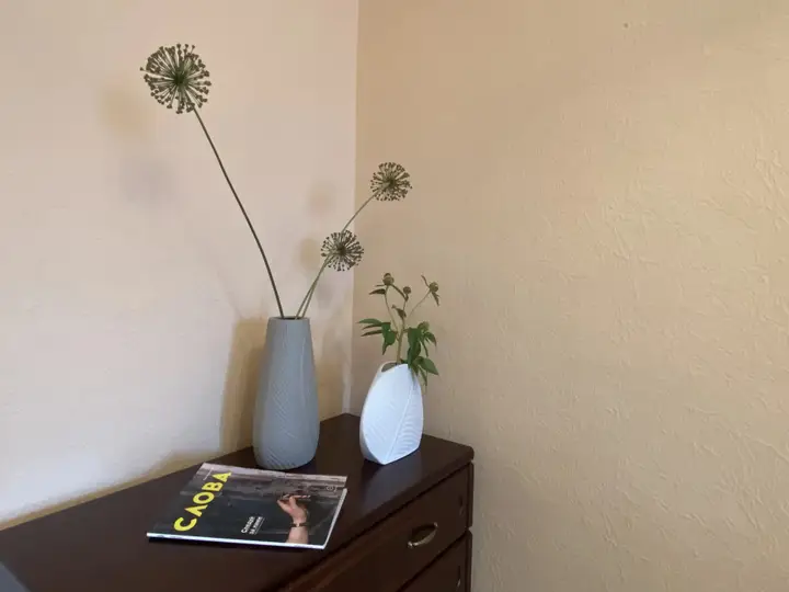 Воронеж: Dvukhkomnatnye Na Ulitse Svobody Apartments