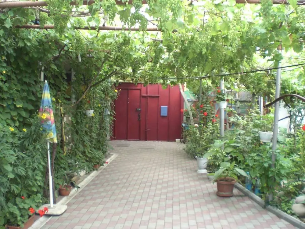 Феодосия: Гостевой Дом Ясень