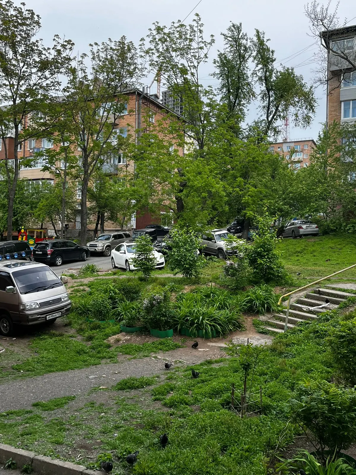 Владивосток: Студия гостиничного типа в центре города