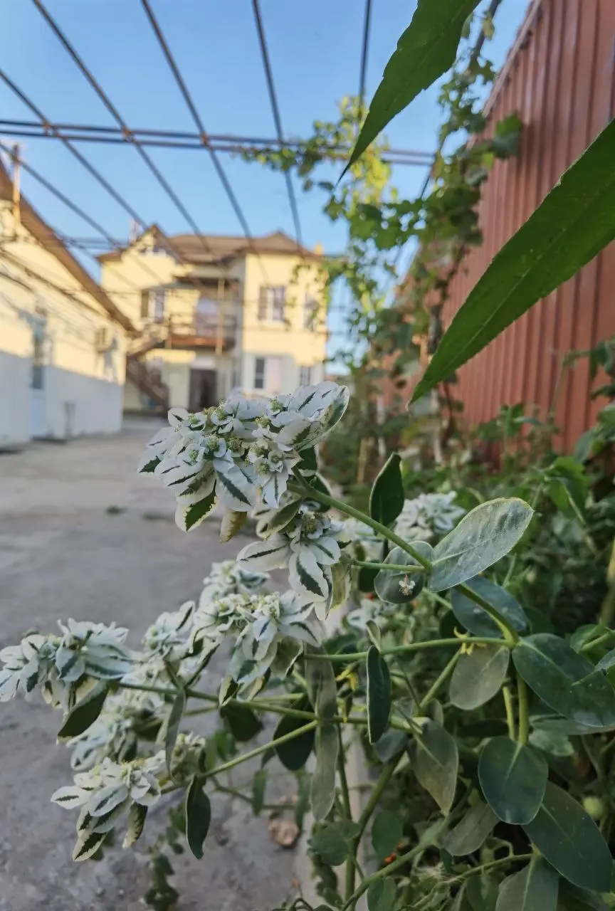 Витязево: В Гостях у Сказки