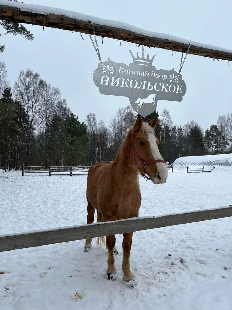 сельское поселение Итомля: Отдых на природе с комфортом