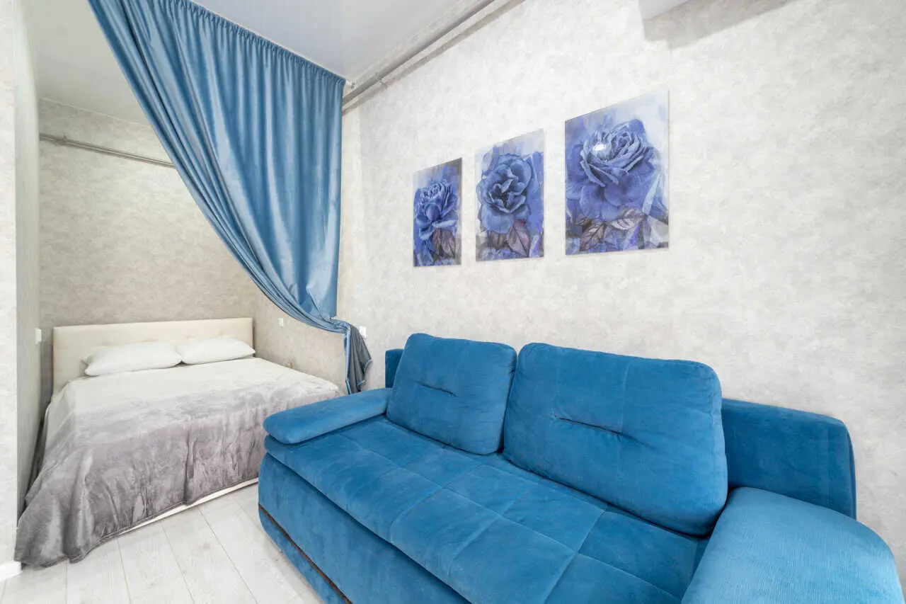 Сочи: Deluxe Apartment на Бакинской