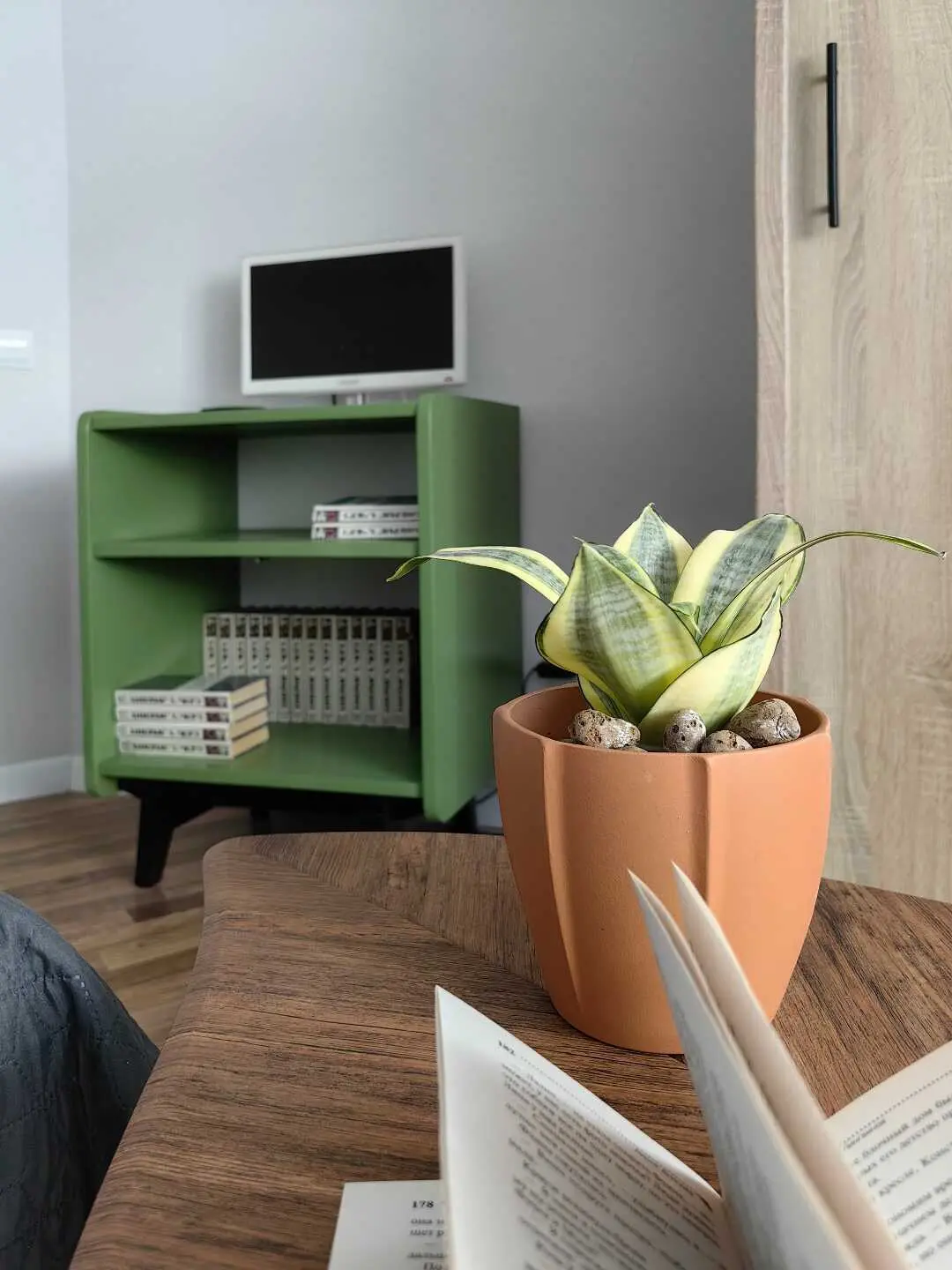 Калининград: Апартаменты Green Life