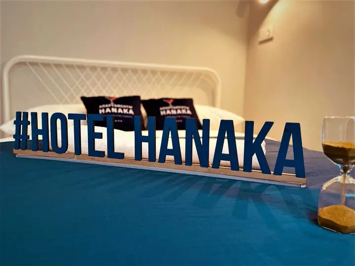 Москва: Hanaka 5 Автозаводская улица 17к1