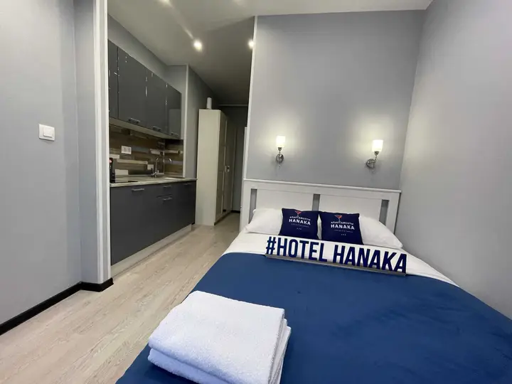 Москва: Hanaka 14 Автозаводская улица, 17к1