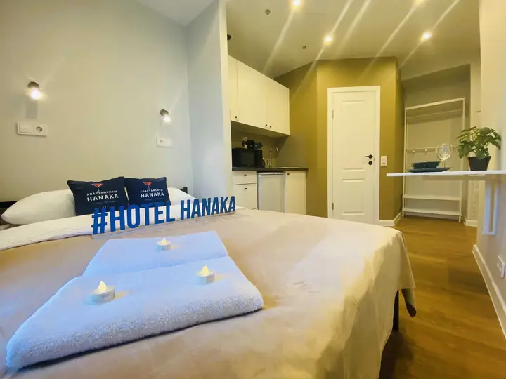 Москва: Hanaka 29 Автозаводская улица 17к1