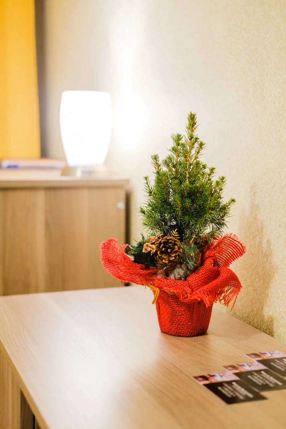 Новосибирск: Dom Vistel VIP
