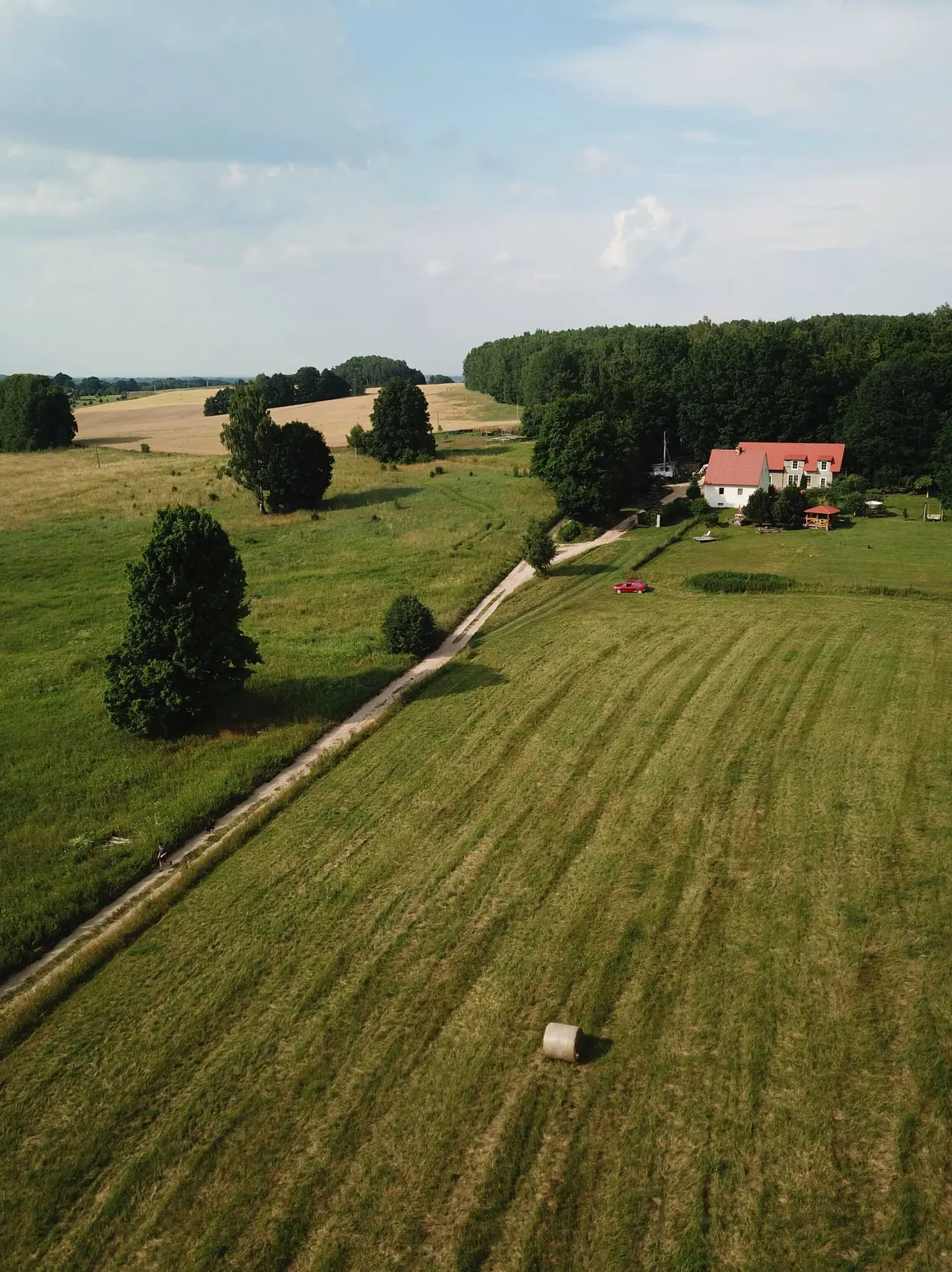 Дмитриевка: Rominta Guest House