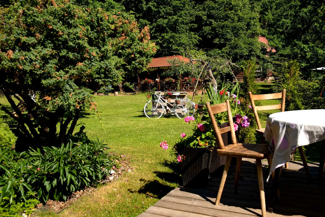 Дмитриевка: Rominta Guest House