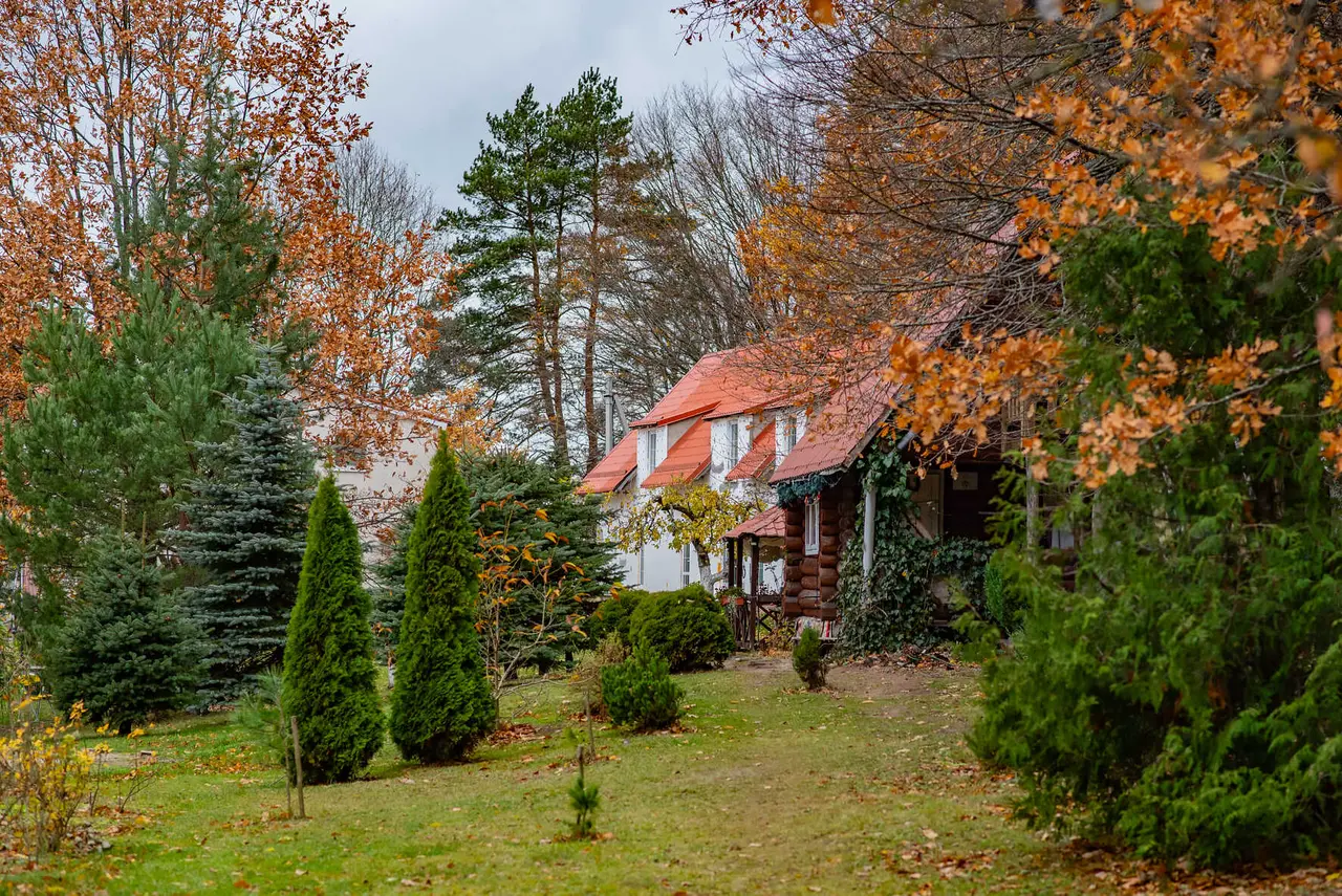 Дмитриевка: Rominta Guest House