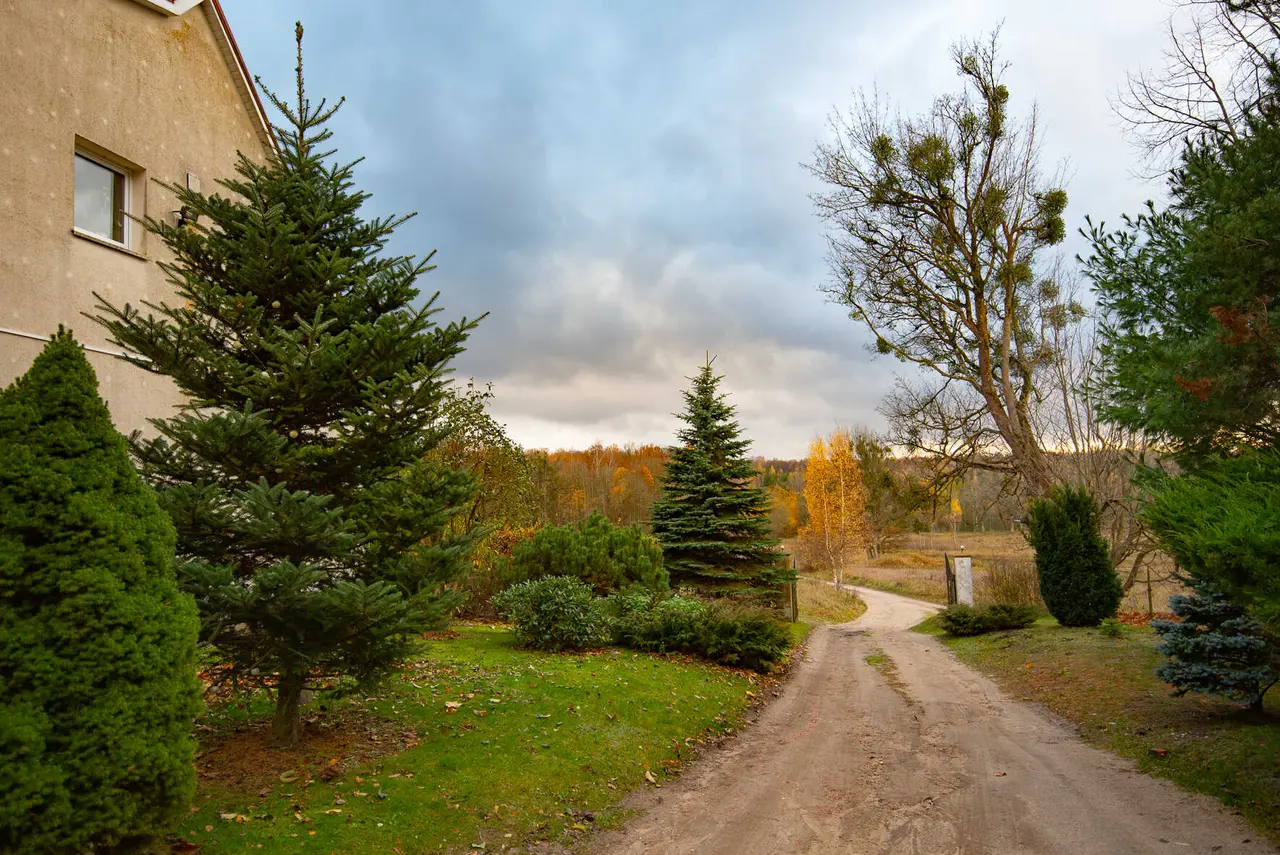 Дмитриевка: Rominta Guest House
