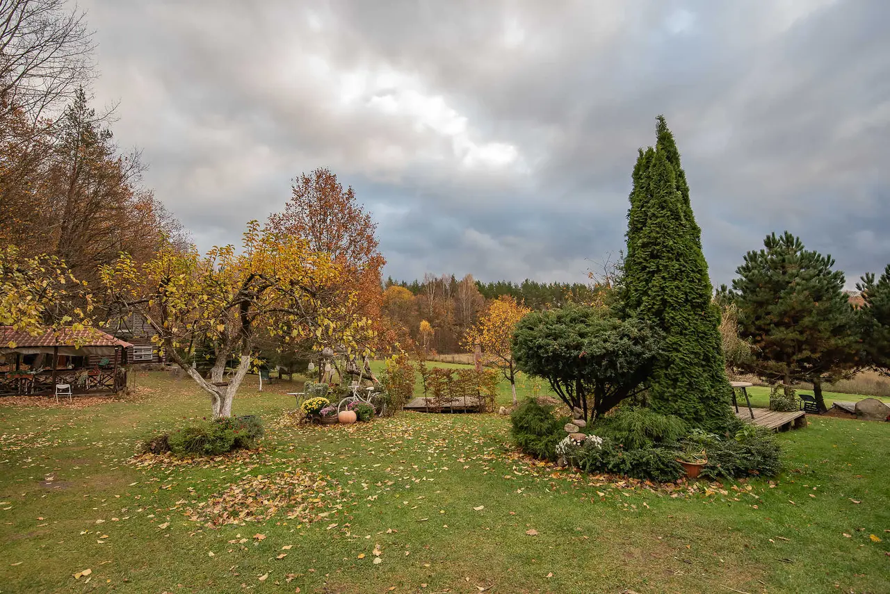 Дмитриевка: Rominta Guest House