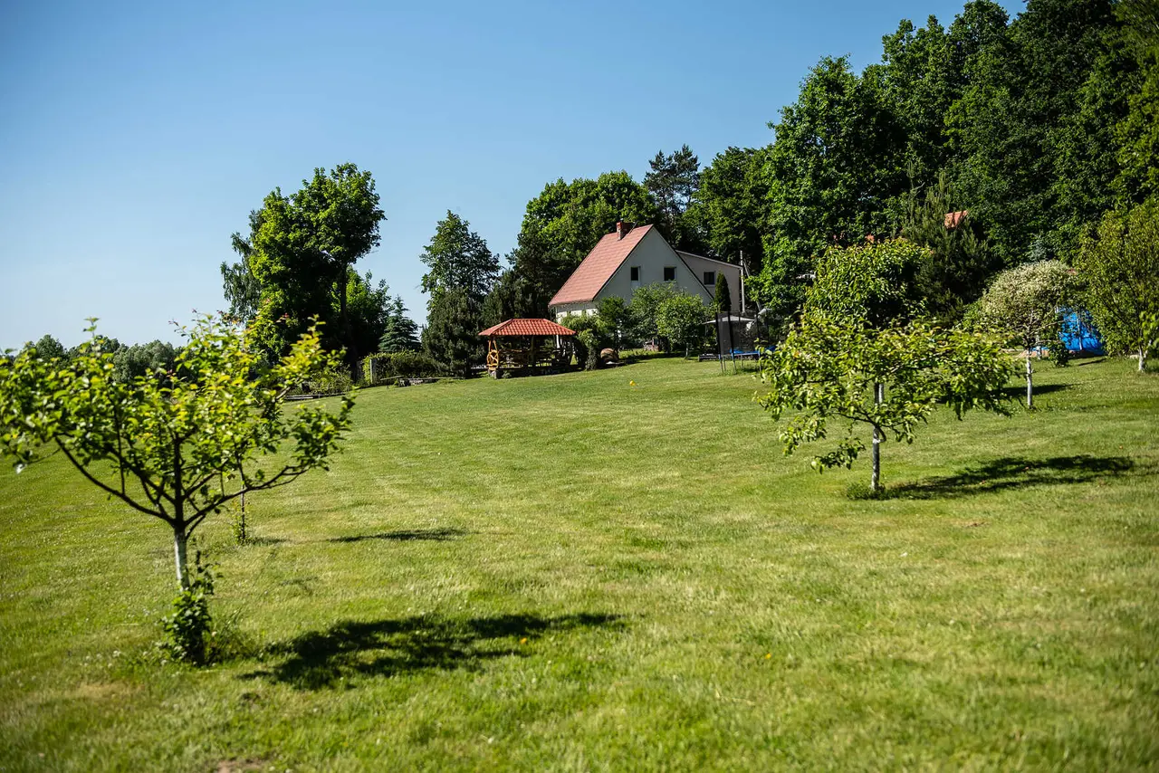 Дмитриевка: Rominta Guest House